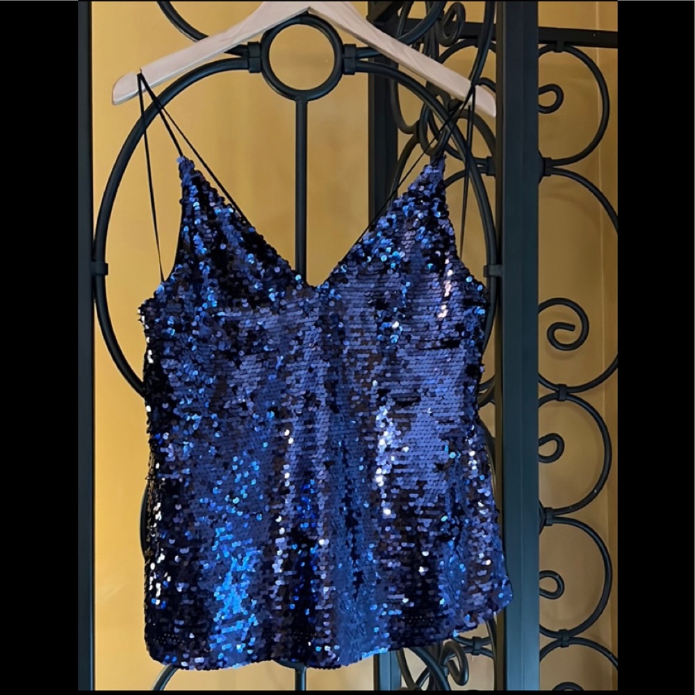 NWT ZARA TRF Collection Blue Sequin Top